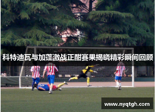 科特迪瓦与加蓬激战正酣赛果揭晓精彩瞬间回顾