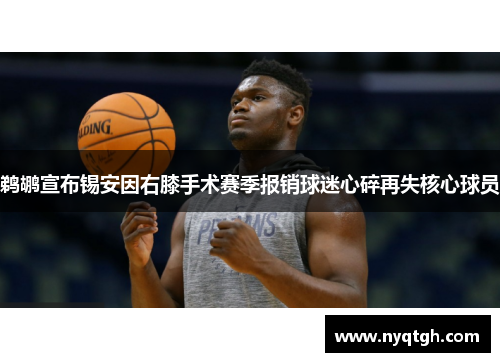 鹈鹕宣布锡安因右膝手术赛季报销球迷心碎再失核心球员