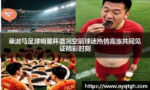 必一·体育(b-sports)